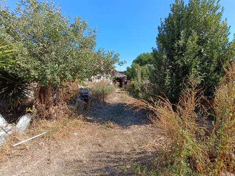 Moradia para Restaurar T3