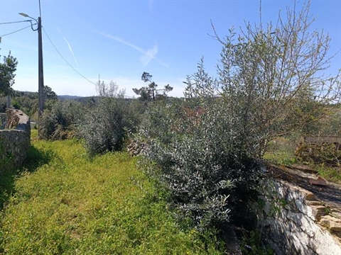 Detached house to restore T3