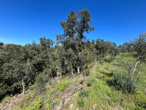 Detached house to restore T3