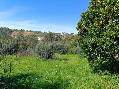 Detached house to restore T3