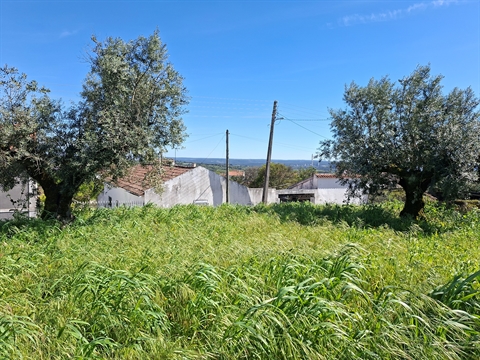 Terreno para Construção em Valhascos, Sardoal