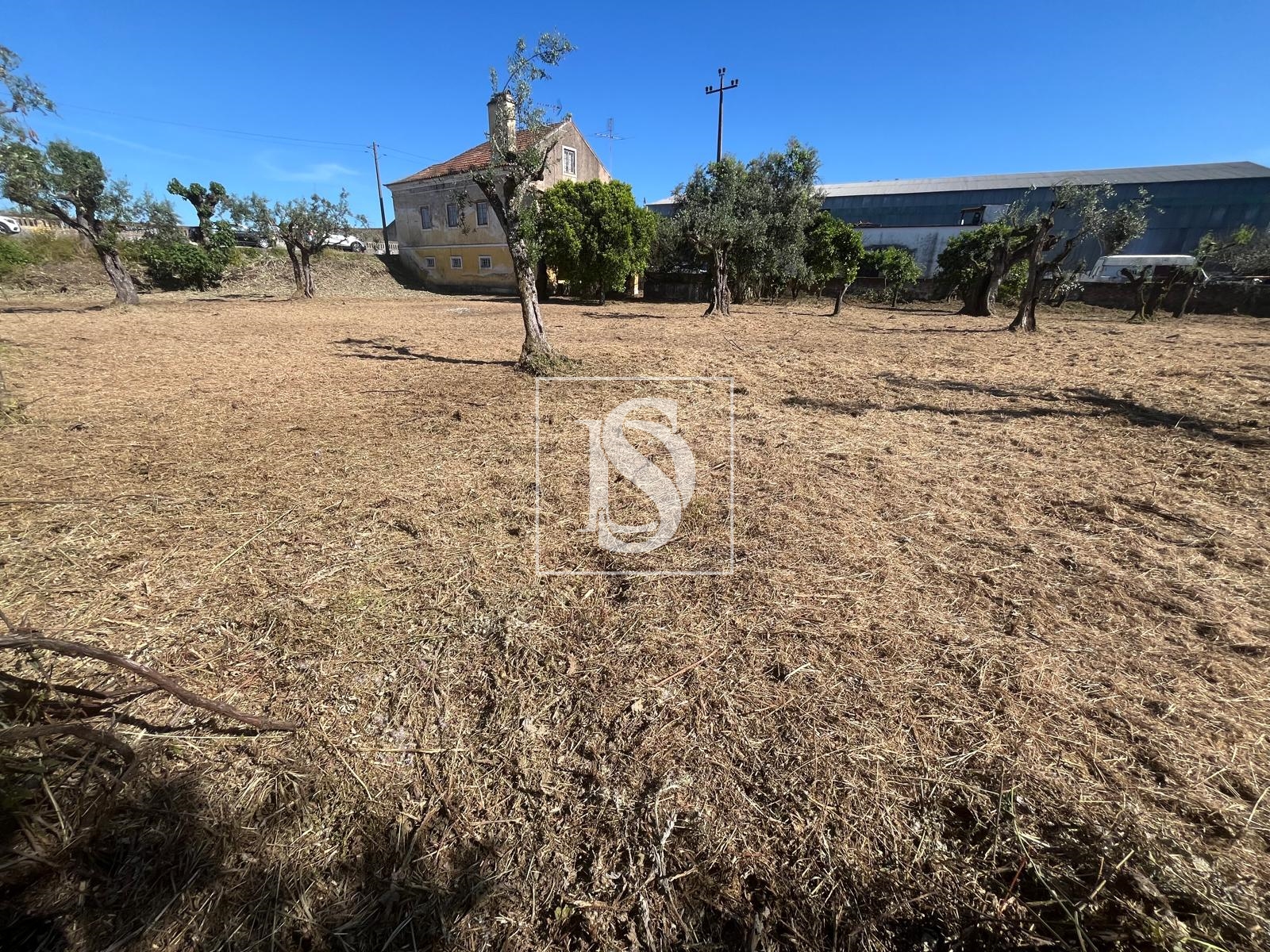 Terreno Urbano - Rossio ao Sul do Tejo - Abrantes
