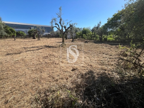 Terreno Urbano - Rossio ao Sul do Tejo - Abrantes