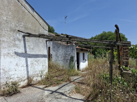 Propriedade Única com 2 Casas para Recuperação e Terreno de 2,6 Hectares