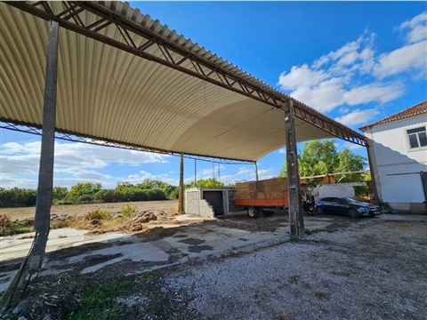 Quinta Rural - Torres Novas - Junto ao Rio Almonda