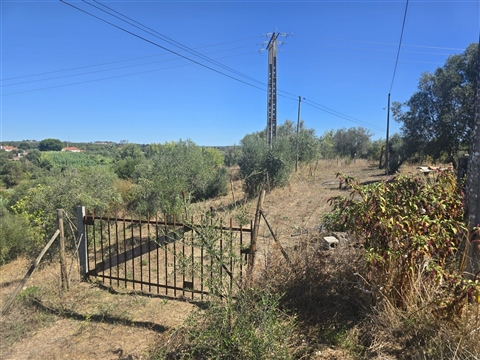 Terreno com Possibilidade de Construção - Alferrarede Velha - Abrantes