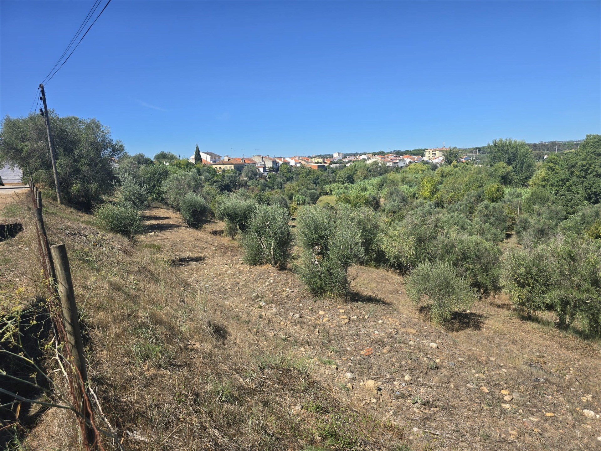 Terreno com Possibilidade de Construção - Alferrarede Velha - Abrantes