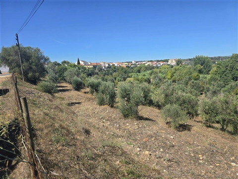 Terreno com Possibilidade de Construção - Alferrarede Velha - Abrantes